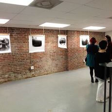Workshops