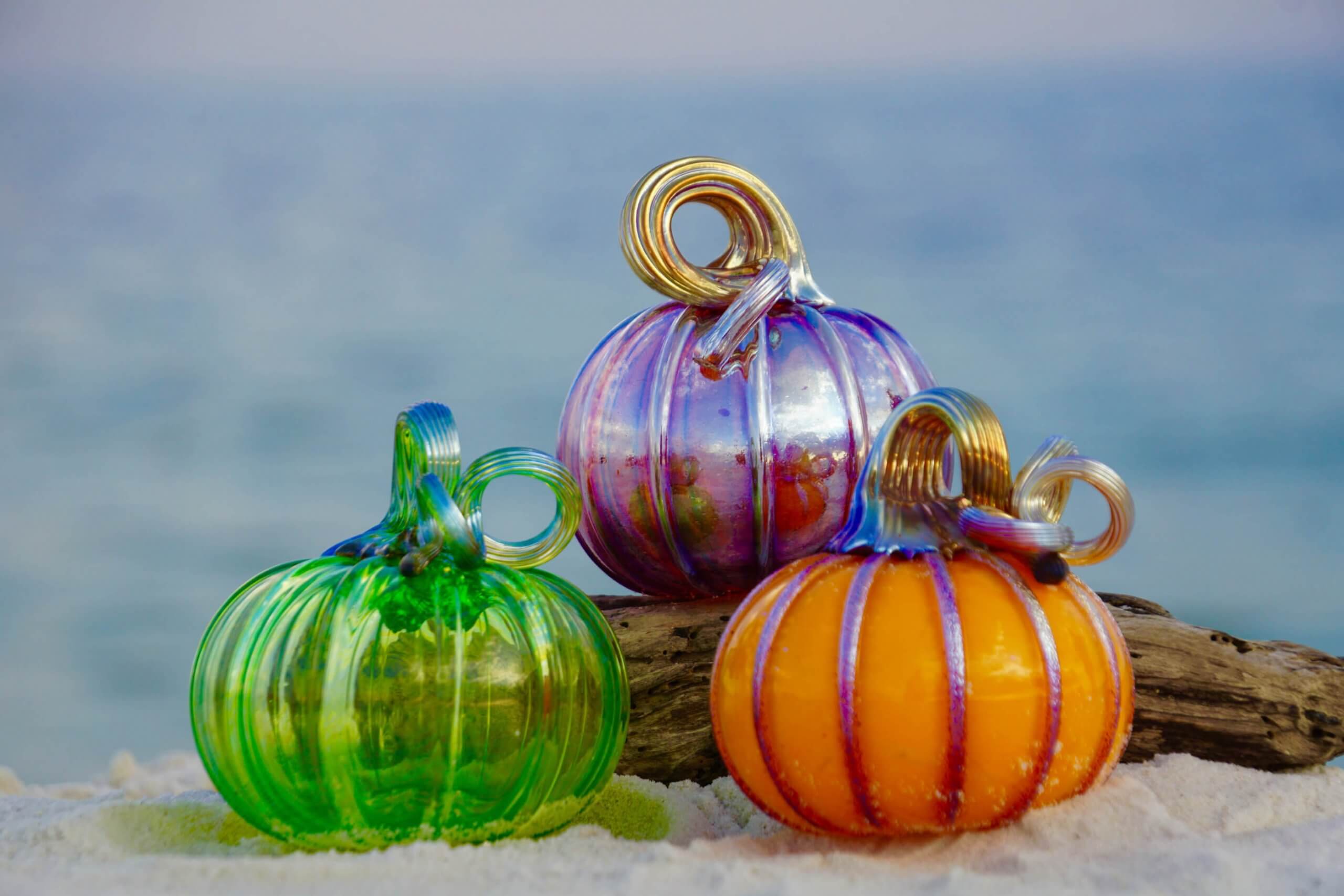 2017 Pumpkin Image