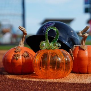 14th Annual Pumpkin Patch
