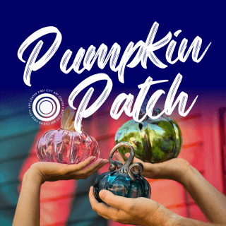 19th Annual Pumpkin Patch
